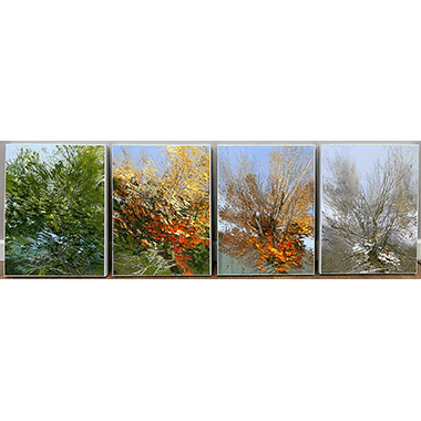 Lynn Boggess, Four Seasons