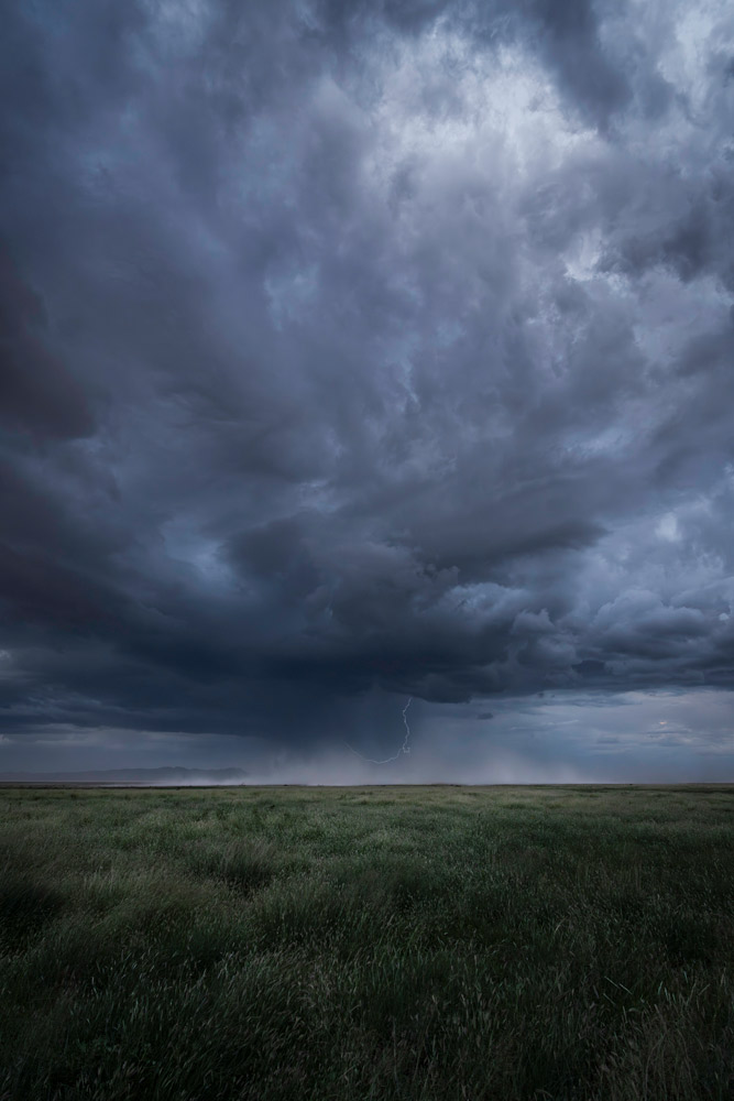 Esha Chiocchio, Tormenta