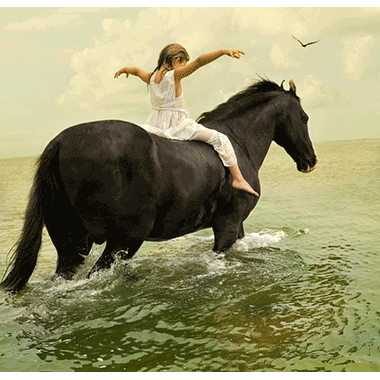 Tom Chambers, Marwari and Stallion 1