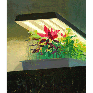 Jeremy Miranda, Future Island