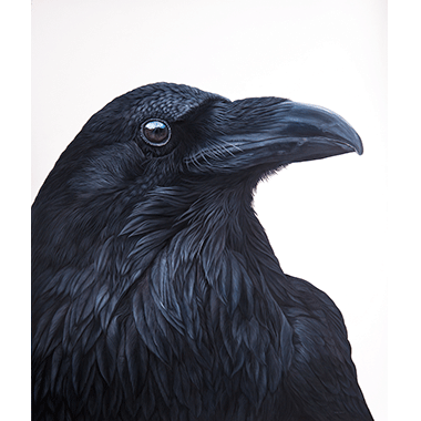 Ester Curini, The Mighty Raven