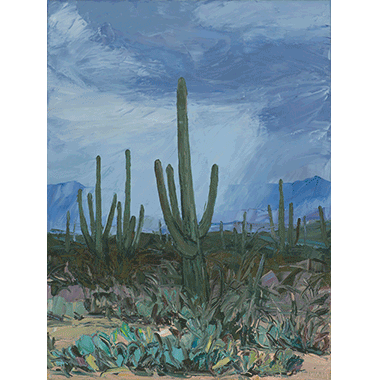 Louisa McElwain, Saguaro Spring Rain