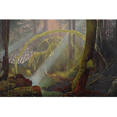 Michael Scott, Olympia Rainforest, Lightshaft